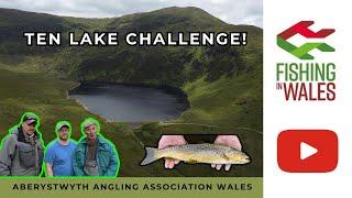 10 LAKE CHALLENGE - Trout Fishing WALES - Aberystwyth Angling Club Stillwater FLY FISHING