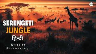 Serengeti Jungle, Africa - हिन्दी डॉक्यूमेंट्री | Wild animals documentary in Hindi