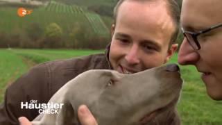 Der Haustier Check   Staffel 3   Folge 4   25 09 2016