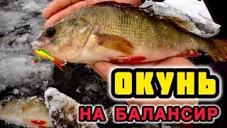 Ловля окуня на балансир. Зимняя рыбалка на окуня