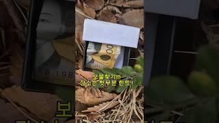 보물찾기!! #보물찾기 #보물 #해적왕 #원피스