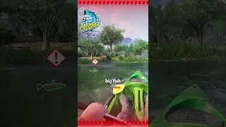 Master the art of fishing