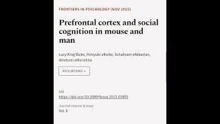 Prefrontal cortex and social cognition in mouse and man | RTCL.TV