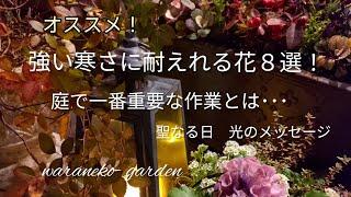 オススメ！強い寒さに耐える花８選！＼庭で一番重要な作業とは･･･＼玄関まわりをオシャレに収納＼聖なる夜のメッセージ･･･