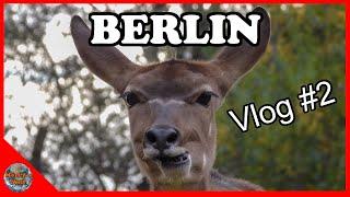 Berlin Vlog #2 |#martinswelt