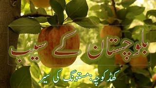 BALOCHISTAN | APPLE GARDENS | KHAD KOCHA VISIT | MASTUNG |