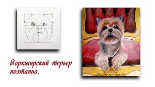 Как нарисовать Йоркширского терьера. Yorkshire Terrier drawing step by step. Рисунок собаки поэтапно