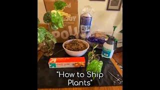 How to Ship Plants