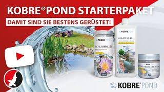 Kobre®Pond Starterpaket - Die 3 wichtigsten Präparate für den Teichunterhalt!