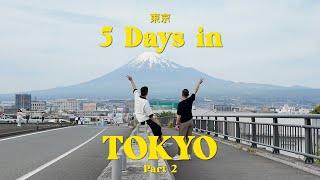 5 days in Tokyo  日本東京 (mount fuji, best izakaya, cute cafes) | part 2 | japan trip