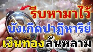 เครื่องรางนำโชค บูชารกแมว ค้าขายร่ำรวย เงินทอง โชคลาภ มีมาไม่ขาดสาย!