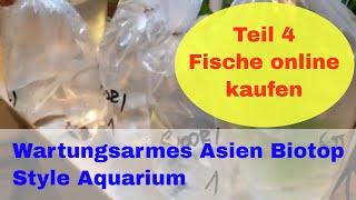 Aquarienfische online kaufen Erfahrung & Bewertung mit Zooshop-EU und Garnelen Direkt