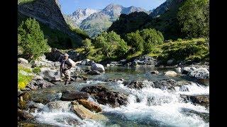 WhereWiseMenFish in Spain - Spanish Gold