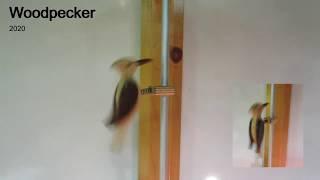 Woodpecker - Kinetic sculpture by Peter Verhaart