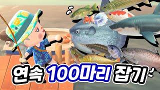 물꼬기 100마리 한 번도 놓치지 않고 잡아보자! (꿀잼 주의)