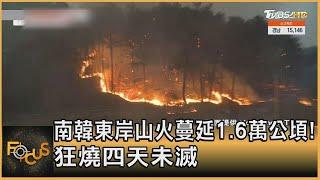 南韓東岸山火蔓延1.6萬公頃! 狂燒四天未滅｜張靖玲｜FOCUS全球新聞 20220307