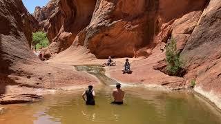 Red Reef trail in red cliffs national conservation area in Leeds Utah