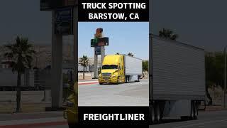 TRUCK SPOTTING #01496 / FREIGHTLINER #automobile #semitrailer #trucking