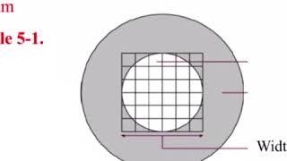 Eukaryotes and Prokaryotes Overview Tutorial