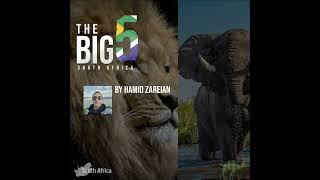 Safarnameh Podcast - South Africa The Big 5 - پادکست سفرنامه -  پنج حیوان ملی آفریقای جنوبی