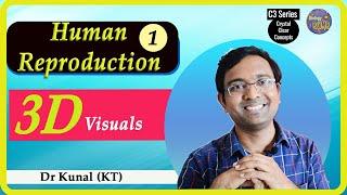 Human reproduction I Lec 1 I Class 12 NEET Biology  I Dr Kunal (KT)