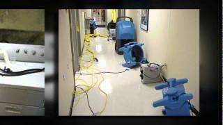 Mold Remediation Business Atlanta