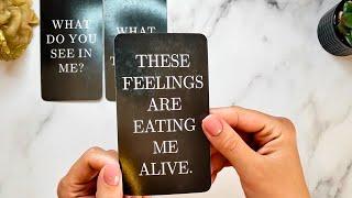  CHANNELED MESSAGES FROM YOUR PERSON!  Timeless Love Tarot Reading