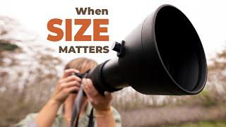 WHY WOULD SIZE MATTER? Testing the Sigma 60-600mm lens for wildlife photography