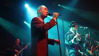 New Cool Collective & Matt Bianco (Mark Reilly) // LIVE