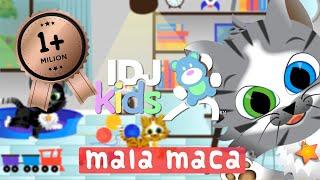 MACICI // MALA MACA // DECIJE PESME // PLANETA ZNANJA // @IDJKids