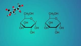 Chemiefilm Polysaccharide