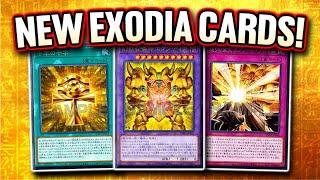 Exodia Has 10 New Support Cards!