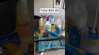 Buying A Budget Cleaning Kit For $25