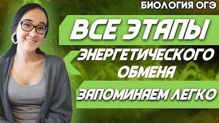 ОГЭ Биология 2022| Энергетический обмен | Все этапы | Полный разбор с нуля