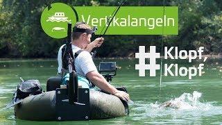 Klopfen auf Wels mit Würmern, Muscheln und Co. | www.zeck-fishing.com