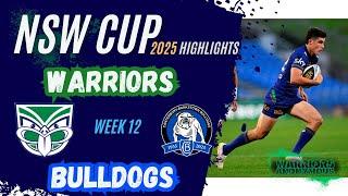 NZ Warriors v Bulldogs | NSW Cup | Rd 12 HIGHLIGHTS