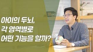 아이의 두뇌, 각 영역별로 어떤 기능을 할까?