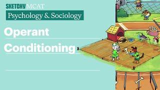 Operant Conditioning (Psychology/Sociology) | Sketchy MCAT