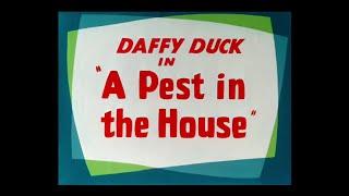 Looney Tunes "A Pest in the House" Opening and Closing (Redo)