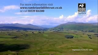 Elizabeth's Story - Cumbria Wildlife Trust