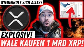 WALE KAUFEN 1 MRD XRP! WISSEN SIE ERNEUT BESCHEID? RIPPLE PRÄSIDENT! ETF KOMMT ZEITNAH!