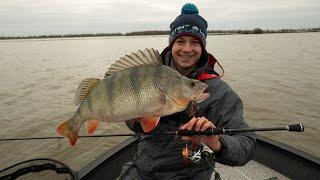 Testing the new W2 rod range from Westin Fishing, finesse perch and zander fishing