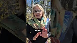 Точка от всех болезней