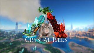 Ark Crystal isles best hidden base locations/rat holes