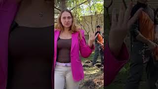 ОБНОВЛЕНИЕ ЛАНДШАФТНОГО ДИЗАЙНА С ПОМОЩЬЮ ПЕРЕСАДКИ РАСТЕНИЙ? СЕКРЕТЫ УСПЕШНЫХ ПЕРЕСАДОК И ЭКОНОМИЯ.