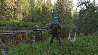 ДОБРАЛСЯ ДО БАЛАГАНА И СРАЗУ НА РУЧЕЙ ЗА ОКУНЯМИ. РЫБАЛКА В ГЛУХОЙ ТАЙГЕ. ТАЁЖНЫЙ РУЧЕЙ ПОРАДОВАЛ.