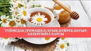 ТҮЙМЕДАҚ (РОМАШКА)ПАЙДАЛЫ ДӘРІЛІК ӨСІМДІК. ДЕНСАУЛЫҚТЫ КӨРКЕМ ЕТІП ЖАМАН АУРУДЫ ЖОЛАТПАЙДЫ.