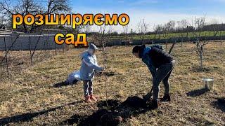 Розширяємо сад біля хати. Нові дерева та кущі. Життя в селі #жвс