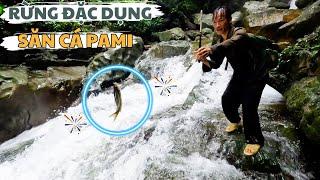 Rừng Đặc Dụng (T8) - "Lý Tử Lanh" Vượt Thác Băng Rừng Đi Săn Loại Cá Quí Hiếm Của Vùng