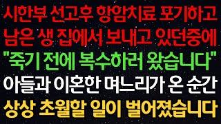 실화사연-시한부 선고후 항암치료 포기하고 남은생 집에서 보내고 있던중에 “죽기 전에 복수하러 왔습니다” 아들과 이혼한 며느리가 온 순간 상상 초월할 일이 벌어졌습니다
